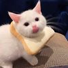tomsbquflfm