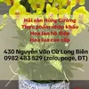 lienhaisanhungcuong