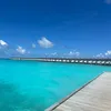 thevacationfamily