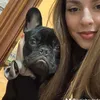 luciobouledogue