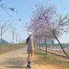 phuonghola