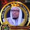 halimomohamed348