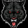 _leho86