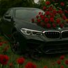 cars_addicted_79