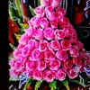 user3581008002500
