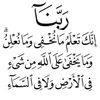 user228353816954