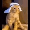 youtubeaccount750