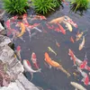 hoangbao22002