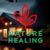 Nature Healing Video