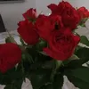 vadhjyy