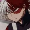 shoto_todoroki.official_