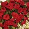 rukhsarshakir786