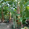duyenle0447