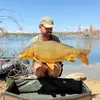 Sergiomadcarp