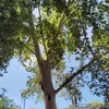 minamina103