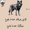 naifismail6