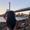 nyc.shelly