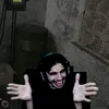 cortesbisteconee2