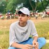hassanjut241