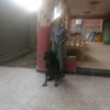 azzamostafa2383