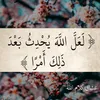 user015539346