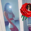 chloenew725