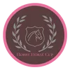 Hobby Horse Cup