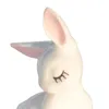 bunny_is_abesbilica