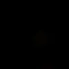 mohmohznz