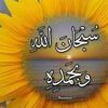 user162614134053