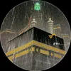 omar_2585