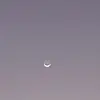 mishaal.haskoo