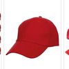 redcap113