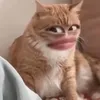 hheehehe109