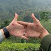 uktiwi01