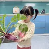 thuygiadung01