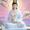 phanthithanhxun