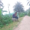 mdalifhossenofficial007r