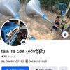 taintagon534648464