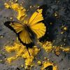 haiderhaider1911491gmail