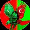 saeednawab013