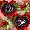 user4010333691703