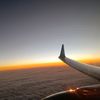 _rinz_231