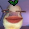 _zyyxalyaa