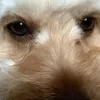 floppity18