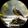 miatka02