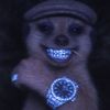 ghostavo16