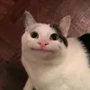 madsk00ty