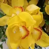 khc.khoi7