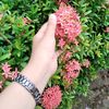 raekky_17